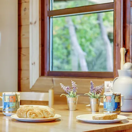 Gorjan - 300m From The Sea By Interhome Casa vacanze *